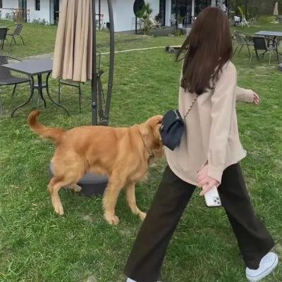 无名家族